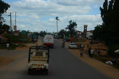 DSC_9687 (Large).JPG